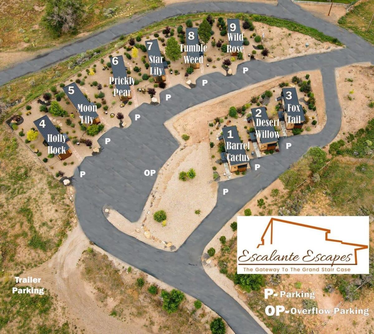 Escalante Escapes Desert Willow- Loft Escape Dış mekan fotoğraf